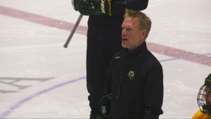 Howie Draper happy to be back behind Pandas bench after 1 season coaching in PWHL