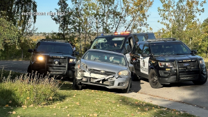 Takedown of dangerous driver forces car onto lawn of S.E. Calgary home