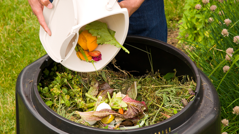 Preparing for Winnipeg's food waste drop-off locations
