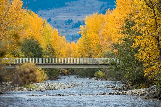 Bridge closure in Mission Creek Regional Park