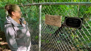 Stranger surprises family with plaque honouring their brother at site where he drowned 50 years ago
