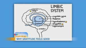 Verbally expressing gratitude can reduce stress levels: neuroscientist