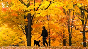 What’s open, closed, and what to do in Toronto over the Thanksgiving weekend