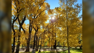 Climbing back into above-seasonal temperatures for the long weekend