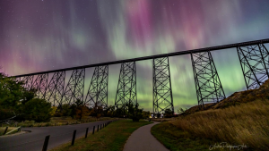 'So much excitement': Aurora borealis light show amazes Lethbridge photographers