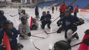 'This is their safe place': Hockey program breaks barriers for Indigenous kids
