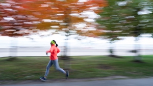 Warmer weather on tap for Toronto after chilly start to week