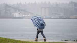 'Prolonged heavy rain' coming to B.C.'s South Coast