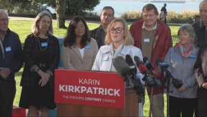 Going it alone: 3 former BC United MLAs on why they're running as independents