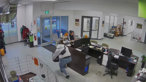 Safe containing cash, tablets, payment machine stolen from Edmonton animal adoption centre
