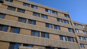 'I’ve to chase roaches every night': Saskatoon tenant complains of insect in subsidized building