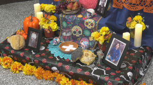 Day of the Dead celebrations taking over Edmonton this weekend