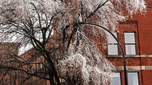 Snow, rain on its way to Montreal this week