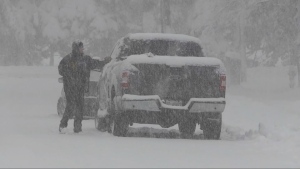 Crews work to reopen highway north of Toronto after major snowstorm hits cottage country