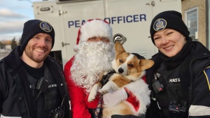 Pet supply donation drive is underway in pet stores across Edmonton