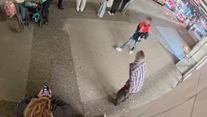 VPD issue public warning after random sucker punch at bus stop