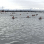 Thousands participate in Polar Bear Swims around B.C.