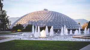 Things to do in Metro Vancouver on the first weekend of 2025
