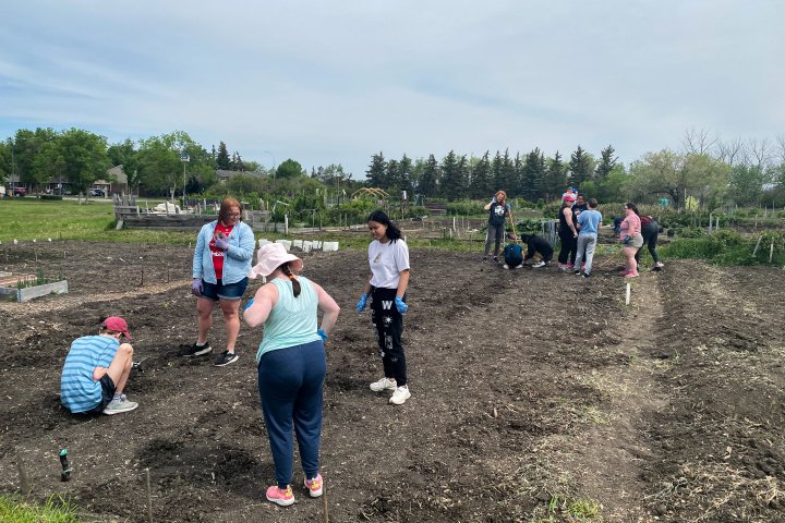 Athletes, students tend to community garden in support of Regina Foodbank