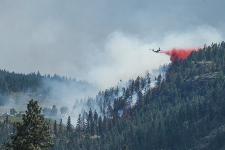 Firefighters, air tankers tackle wildfire near Okanagan Falls