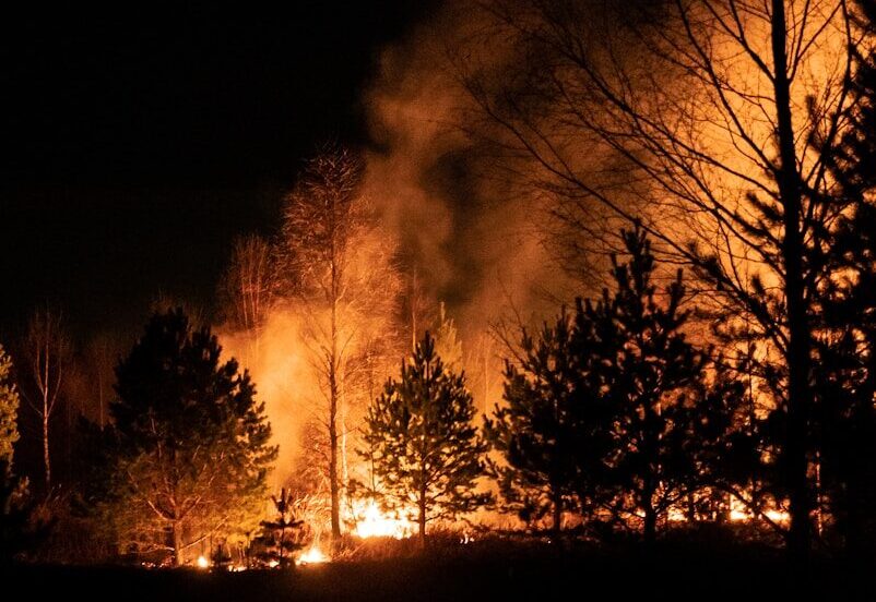 Canada on Fire: How Wildfires Are Threatening Lives, Landscapes, and Our Future