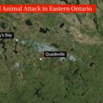 Teen charged in horrific attack on Ontario child police initially attributed to an animal