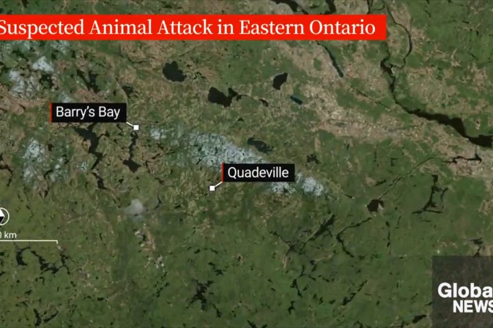 Teen charged in horrific attack on Ontario child police initially attributed to an animal
