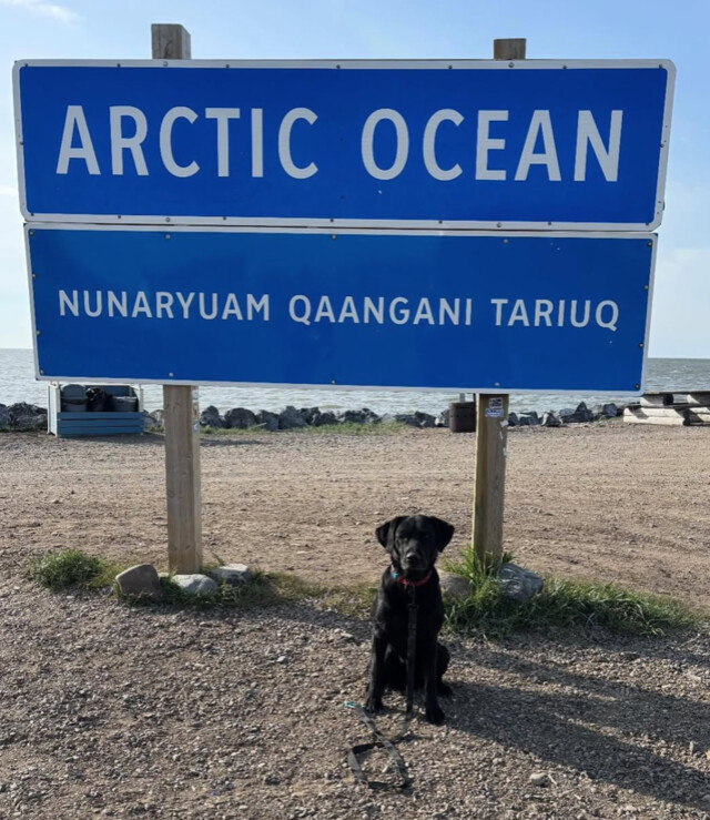 COSAR’s K9 Barrett takes time off after busy rescue work
