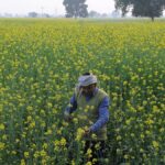 Vedanta Aluminium, CTCRI sign agreement to use red mud for green initiatives 