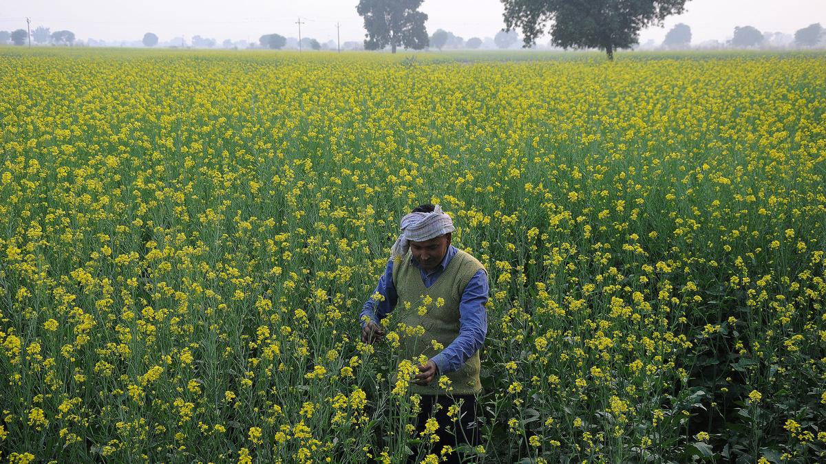 Vedanta Aluminium, CTCRI sign agreement to use red mud for green initiatives 