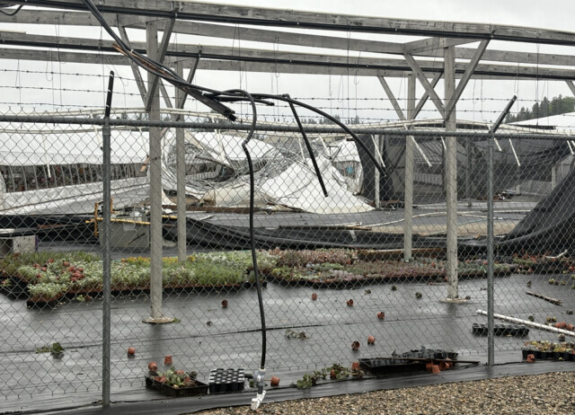 Kelowna’s The Greenery Garden Centre rebuilding storm-damaged greenhouses