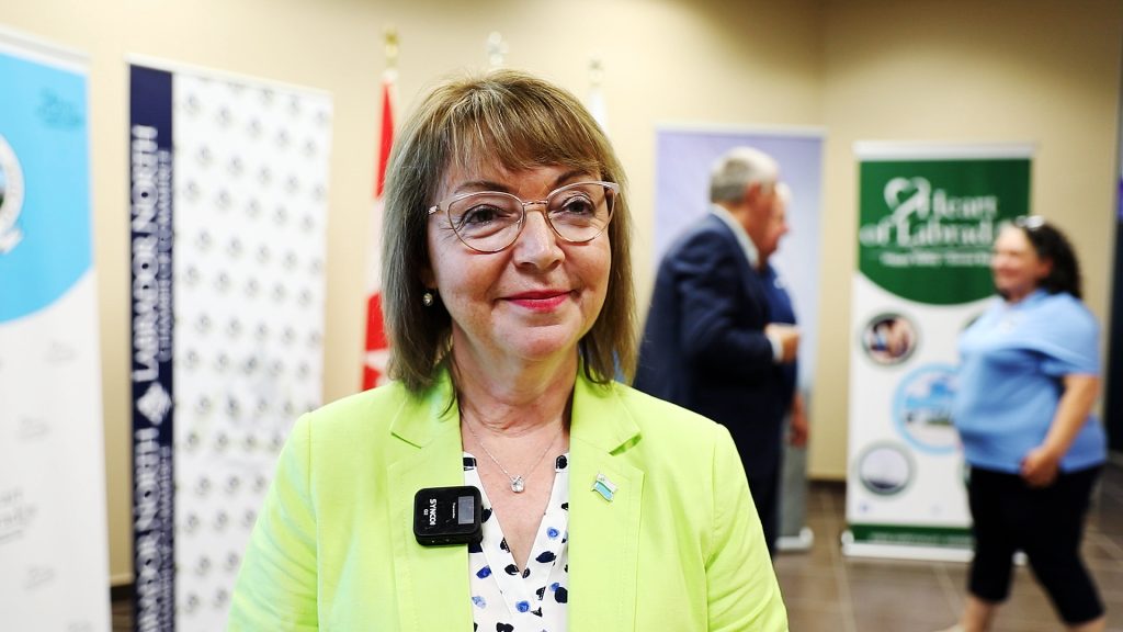 Liberals’ Air Access Program for Labrador doesn’t provide meaningful help, critics say