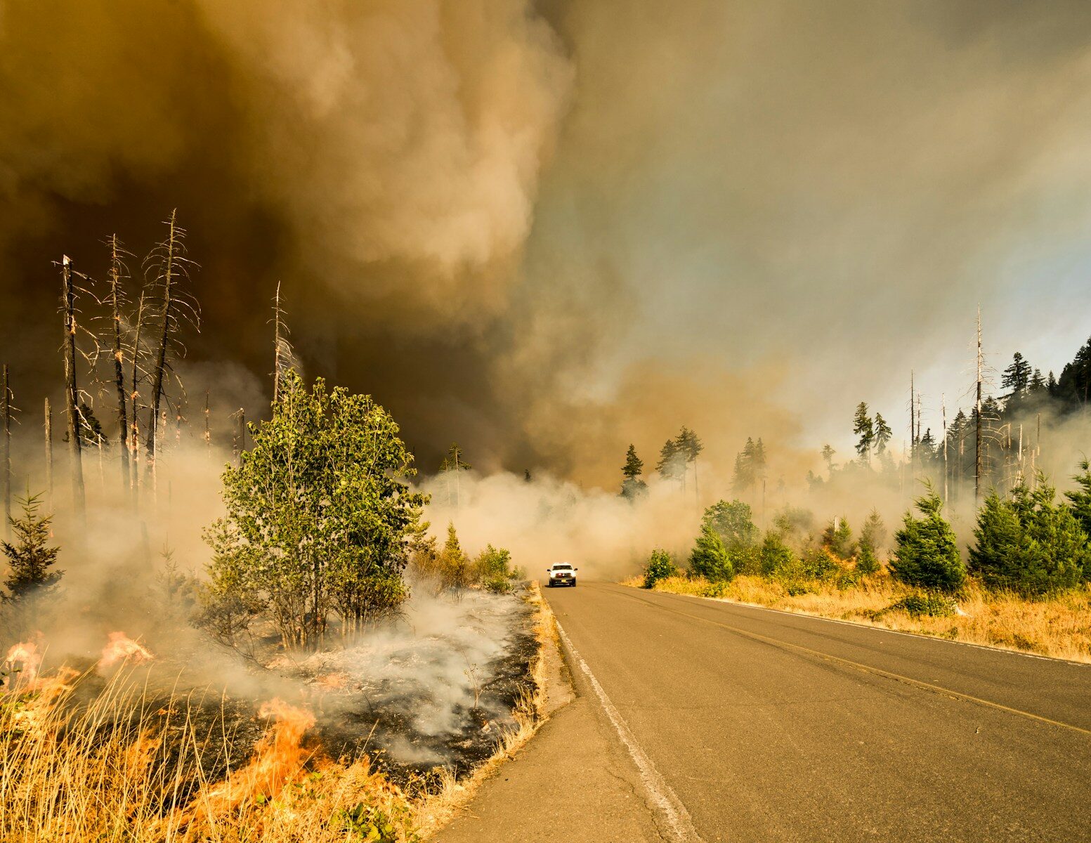 Port Alberni wildfire 2025