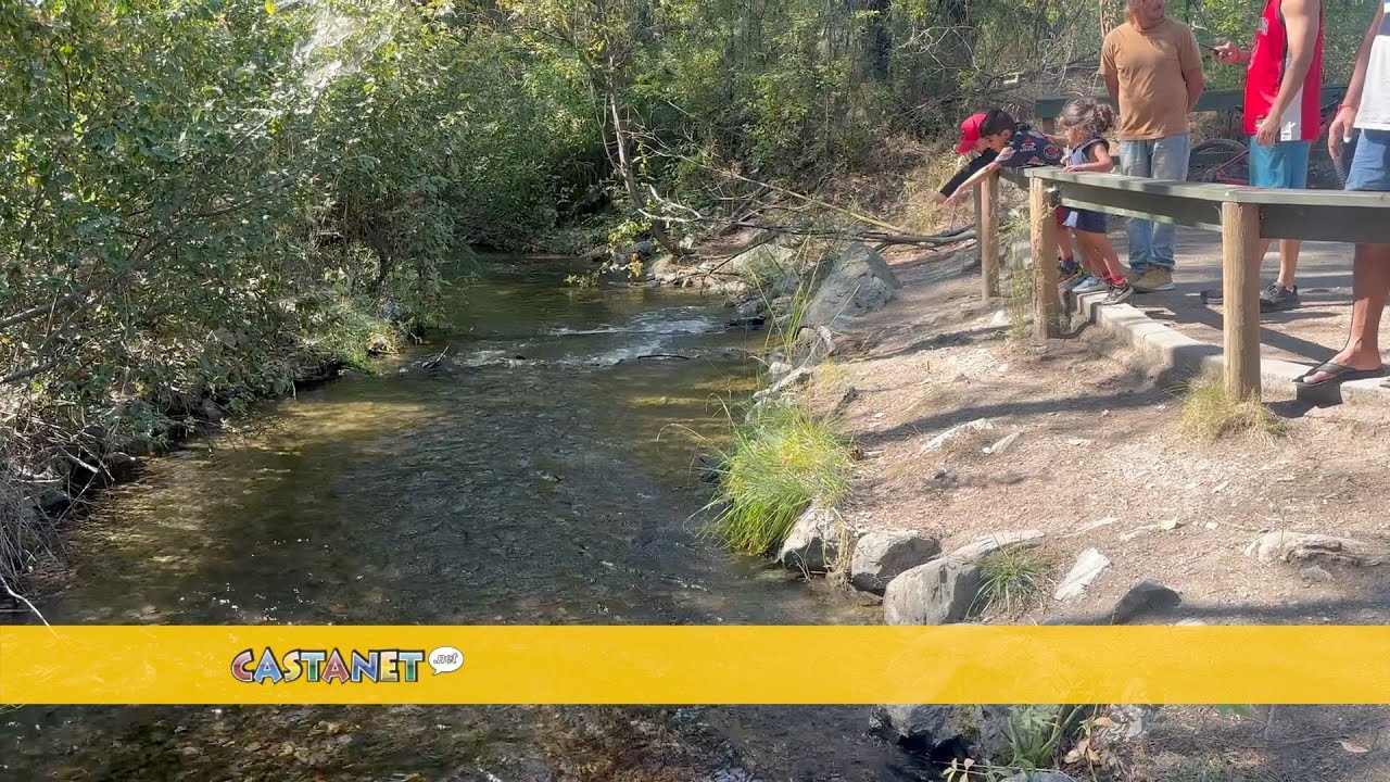 Annual kikinee Festival celebrates spawning Kokanee at Mission Creek
