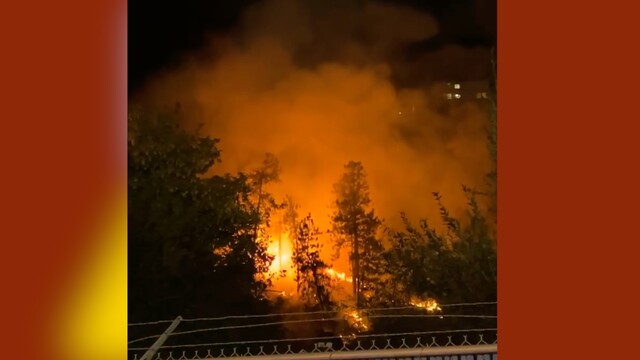 Brush fire breaks out near Dilworth Mountain