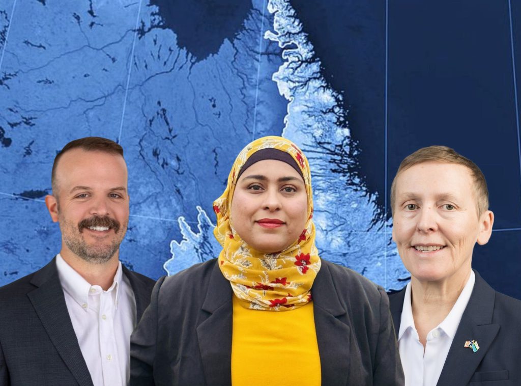 Labrador priorities in the 2025 N.L. election