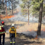Controlled burn set for Kelowna's Knox Mountain on Thursday