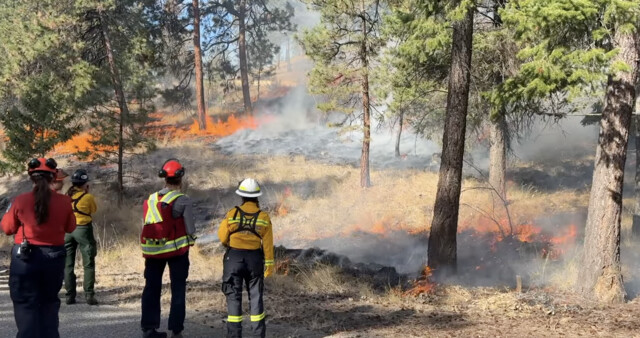 Controlled burn set for Kelowna's Knox Mountain on Thursday