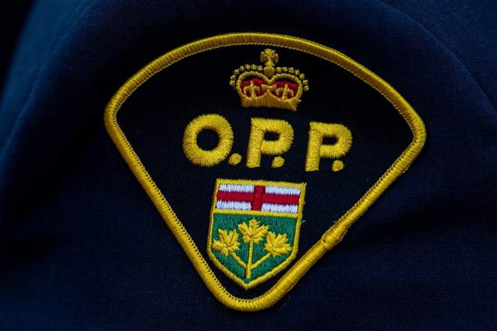 72 illegal handguns seized, 2 Brampton men charged; OPP