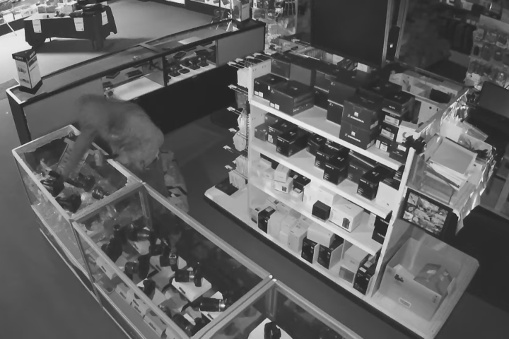 Calgary’s Camera Store offers reward after more than $100K in equipment stolen
