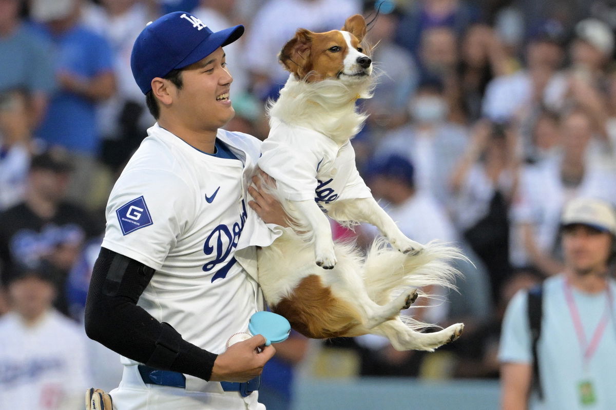 Fans Lose It As MLB’s Unexpected World Series Tribute To Shohei Ohtani’s Dog Decoy Backfires