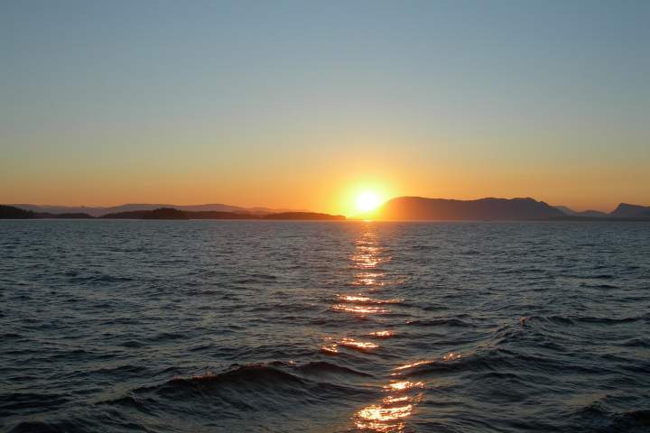 The North Pacific heat ‘blob’ is back and experts are worried about marine life