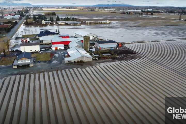 Trans Mountain pipeline pays $196K penalty for environmental lapses after 2024 storm