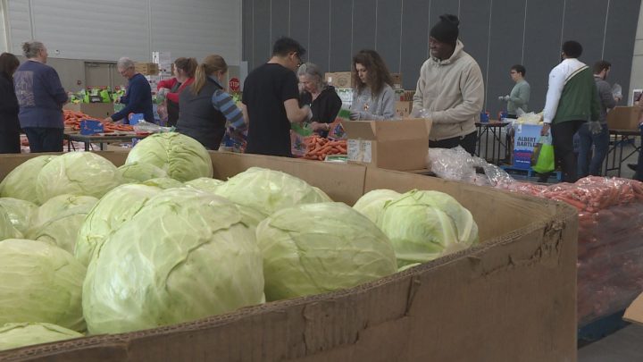 Holiday Hamper program prepares for delivery day in Edmonton