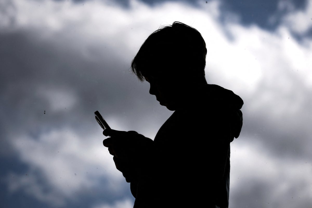 New study challenges link between social media and mental health