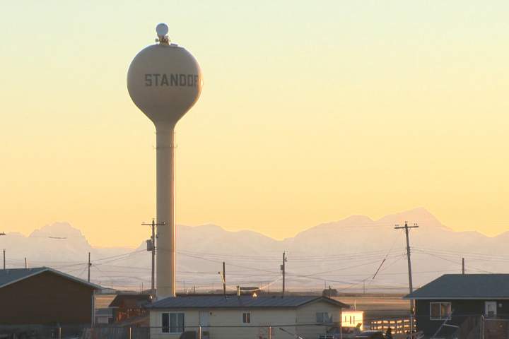 Blood Tribe declares state of emergency after recent dog attacks