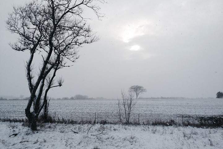 Ontario city turns to landfill property for snow storage amid record winter