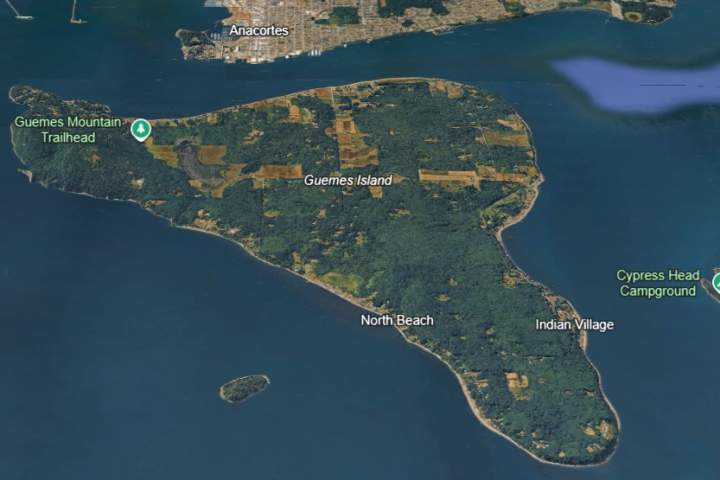 Between 20 and 25 deceased canines have washed up on Washington state beach