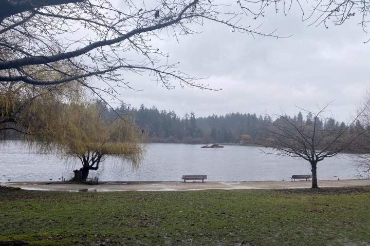 Vancouver Park Board asks for ‘historic’ $1.35 billion investment from city