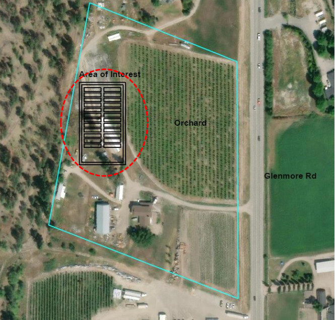Kelowna council support application for more temporary workers at large cherry operation